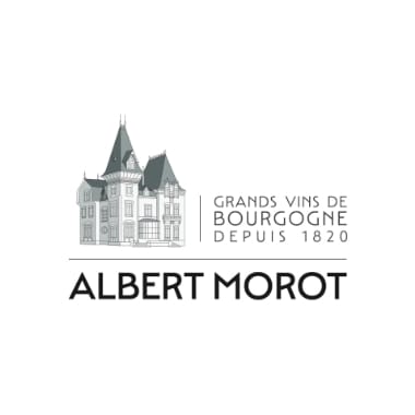 albert-morot